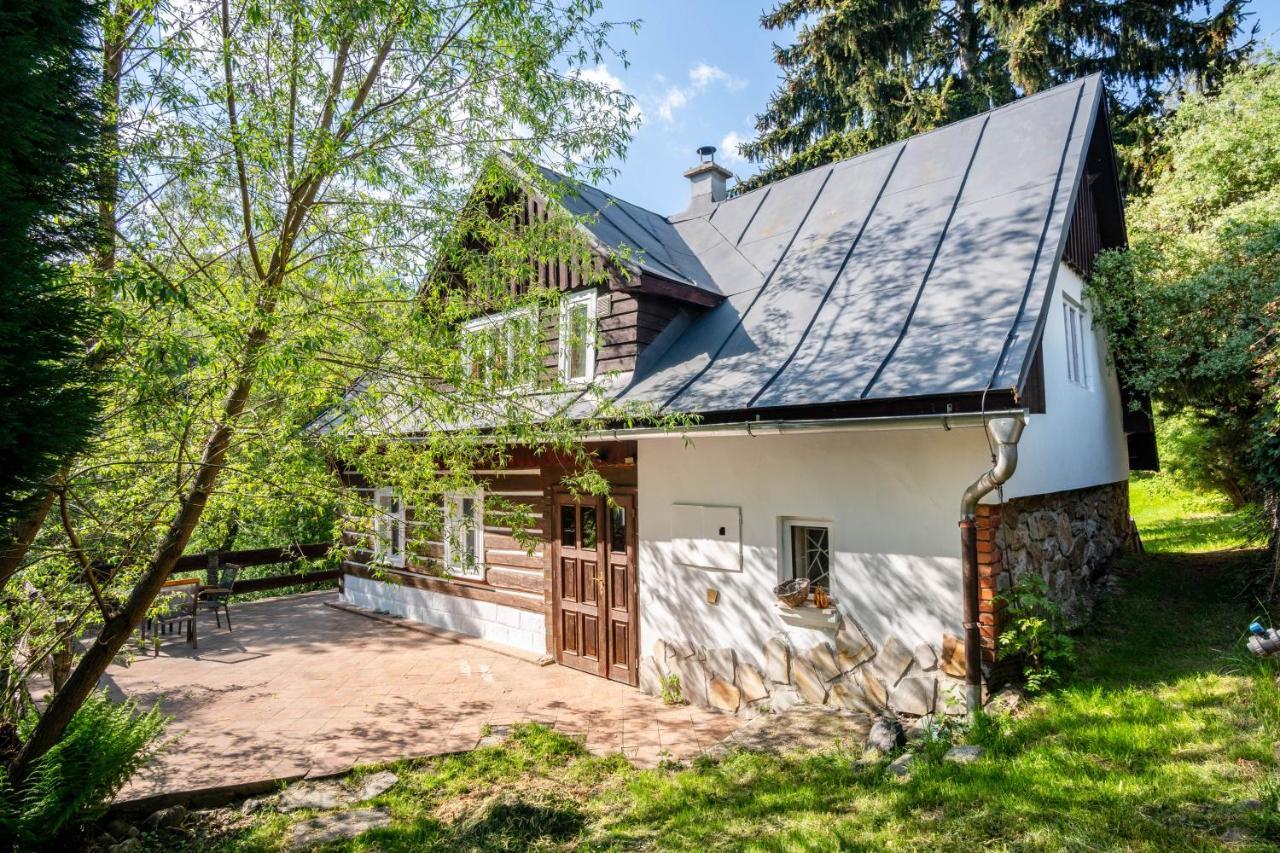 Roubenka Mustelka Apartman Rokytnice nad Jizerou Kültér fotó